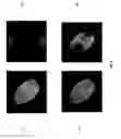 Fig. 07 - On-screen optical fingerprint capture for user authentication