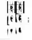 Fig. 15 - HYBRID FACE RECOGNITION BASED ON 3D DATA