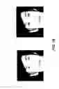 Fig. 20 - HYBRID FACE RECOGNITION BASED ON 3D DATA