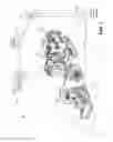 Fig. 02 - 3D terrain mapping system and method