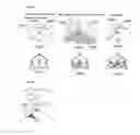 Fig. 12 - Method for object recognition and/or verification on portable devices