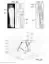 Fig. 12 - System and method for suspect search