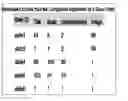 Fig. 01 - Automated slide comparator