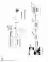 Fig. 07 - Method and apparatus for providing image classification based on opacity