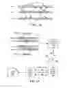 Fig. 09 - Automaton-Based Identification of Executions of a Business Process