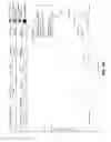 Fig. 05 - MULTIDIMENSIONAL INSIGHTS ON CUSTOMER SERVICE DYNAMICS