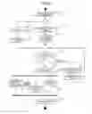 Fig. 04 - Personal safety verification system and similarity search method for data encrypted for confidentiality