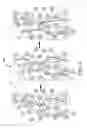 Fig. 05 - SYSTEMS AND METHODS FOR DETECTING LINKAGES AMONG INDIVIDUALS