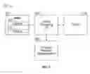 Fig. 03 - Kinematic Data Extraction from Technical Videography