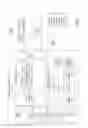 Fig. 02 - CREATING A COMPOSITE IMAGE FROM MULTI-FRAME RAW IMAGE DATA