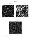 Fig. 09 - Method and apparatus rendering caustics