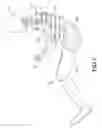 Fig. 03 - Three-dimensional ribs and method of three-dimensional printing of ribs for crash test dummy