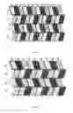 Fig. 06 - Pixel arrangement structure, display device and display method