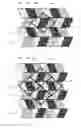 Fig. 08 - Pixel arrangement structure, display device and display method