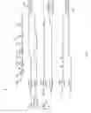 Fig. 02 - Speech endpointing