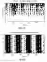 Fig. 61 - Audio processor and method for processing an audio signal using vertical phase correction
