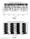 Fig. 44 - Audio processor and method for processing an audio signal using horizontal phase correction