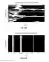 Fig. 49 - Calculator and method for determining phase correction data for an audio signal