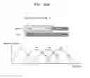 Fig. 41 - Programming method of non volatile memory device