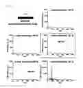 Fig. 10 - Sample plate using MALDI-TOF mass spectrometer and manufacturing method of the sample plate