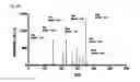 Fig. 12 - Sample plate using MALDI-TOF mass spectrometer and manufacturing method of the sample plate