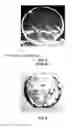 Fig. 06 - Method for handling thin brittle films