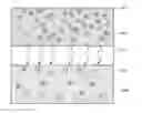 Fig. 01 - Manufacturing method for semiconductor device