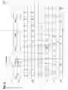 Fig. 04 - Digital circuit and method for manufacturing a digital circuit