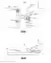 Fig. 05 - Wire bond cleaning method and wire bonding recovery process