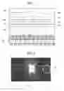 Fig. 02 - Solid-state imaging device having improved light-collection, method of manufacturing the same, and electronic apparatus