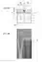 Fig. 08 - Solid-state imaging device having improved light-collection, method of manufacturing the same, and electronic apparatus