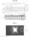 Fig. 09 - Solid-state imaging device having improved light-collection, method of manufacturing the same, and electronic apparatus