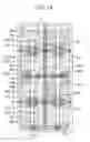 Fig. 13 - Solid-state image sensor, imaging device, and electronic equipment