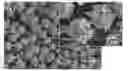Fig. 01 - THERMOELECTRIC COMPOSITE HAVING A THERMOELECTRIC CHARACTERISTIC AND METHOD OF PREPARING SAME