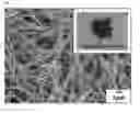 Fig. 02 - THERMOELECTRIC COMPOSITE HAVING A THERMOELECTRIC CHARACTERISTIC AND METHOD OF PREPARING SAME