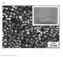 Fig. 04 - THERMOELECTRIC COMPOSITE HAVING A THERMOELECTRIC CHARACTERISTIC AND METHOD OF PREPARING SAME