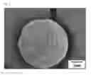 Fig. 05 - THERMOELECTRIC COMPOSITE HAVING A THERMOELECTRIC CHARACTERISTIC AND METHOD OF PREPARING SAME