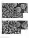 Fig. 07 - THERMOELECTRIC COMPOSITE HAVING A THERMOELECTRIC CHARACTERISTIC AND METHOD OF PREPARING SAME