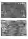 Fig. 08 - THERMOELECTRIC COMPOSITE HAVING A THERMOELECTRIC CHARACTERISTIC AND METHOD OF PREPARING SAME