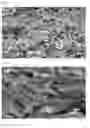 Fig. 09 - THERMOELECTRIC COMPOSITE HAVING A THERMOELECTRIC CHARACTERISTIC AND METHOD OF PREPARING SAME