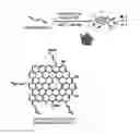 Fig. 01 - N-doped nanocarbon materials and method for manufacturing the same
