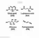 Fig. 03 - N-doped nanocarbon materials and method for manufacturing the same