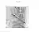 Fig. 06 - N-doped nanocarbon materials and method for manufacturing the same