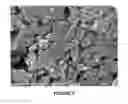 Fig. 07 - Electrode for photobattery