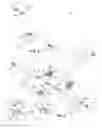 Fig. 04 - Branched electrical system
