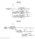 Fig. 07 - DISTORTION COMPENSATION DEVICE