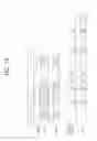 Fig. 11 - Multiple beamforming training