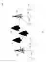 Fig. 02 - Wireless backhaul