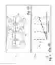 Fig. 07 - System for media distribution and rendering on spatially extended wireless networks
