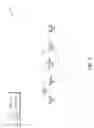 Fig. 02 - Make-before-break mechanism for label switched paths